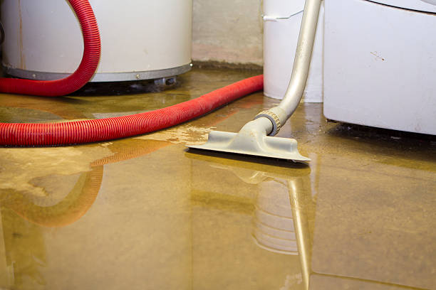 Best Water damage cleanup near me  in Ephrata, WA
