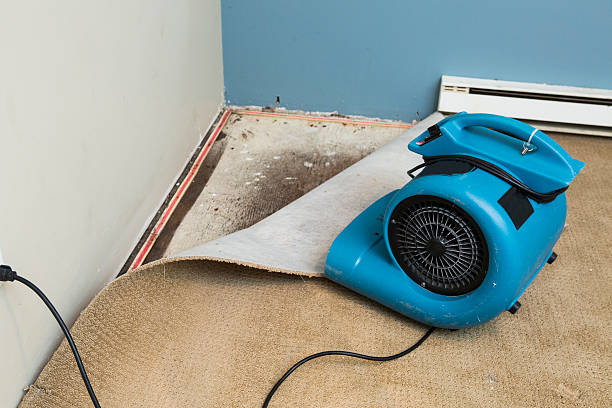 Best Basement water damage restoration  in Ephrata, WA